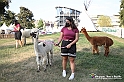 VBS_8131 - Inaugurazione 72.ma Fiera del Peperone di Carmagnola